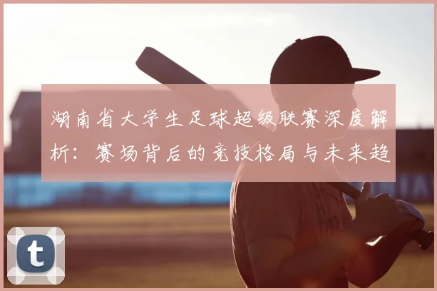 湖南省大学生足球超级联赛深度解析：赛场背后的竞技格局与未来趋势